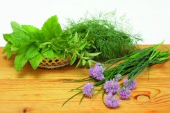 Fresh herbs in a basket
